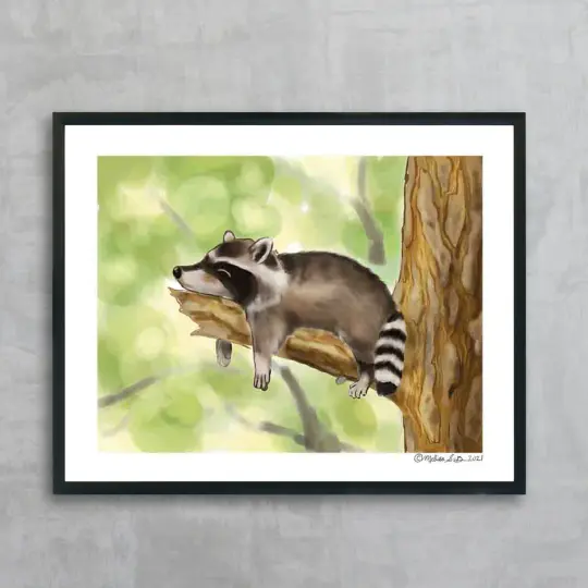 Napping Raccoon Fine Art Print