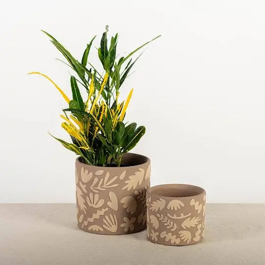 Terracotta Flower Pot, Simple Leaves