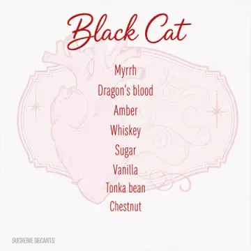 Black Cat