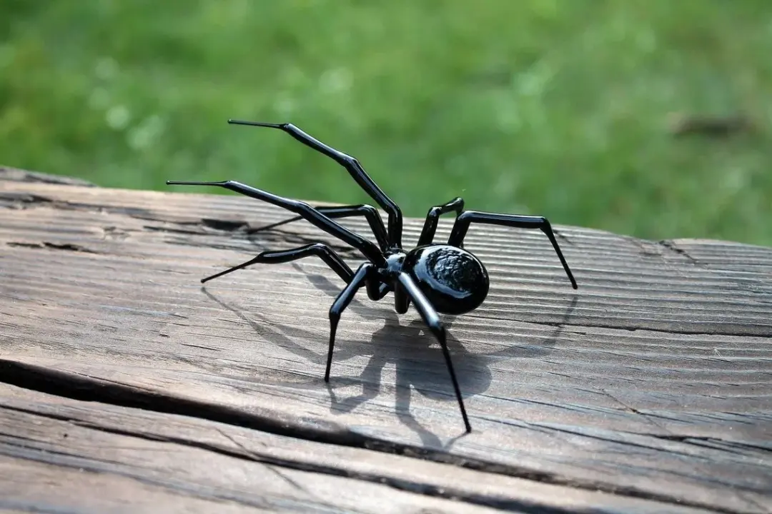 Black Glass Spider With Glossy Body – Handmade Lampwork Figurine