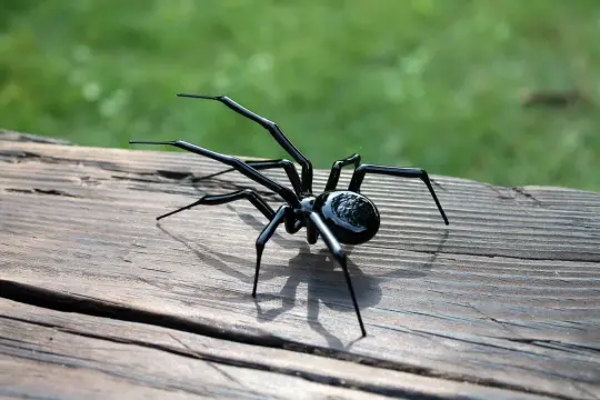 Black Glass Spider With Glossy Body – Handmade Lampwork Figurine