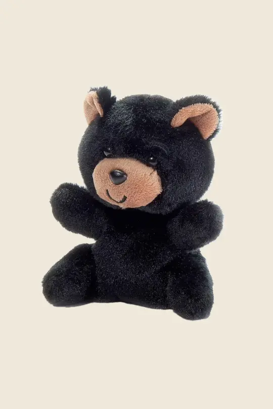 Black Bear Buddy