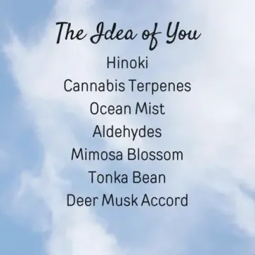 The Idea of You