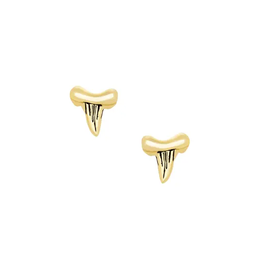 Shark Tooth Studs