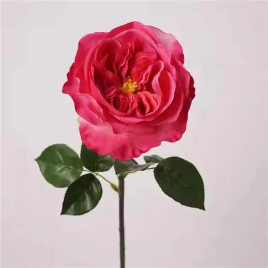 18"Juliet Garden Rose-Moisture-touch coating(4"Bloom)