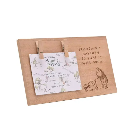 Winnie the Pooh Wooden Scan Frame
