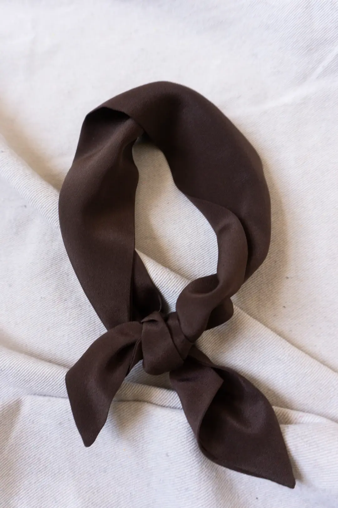 Silk Scarf - Brown