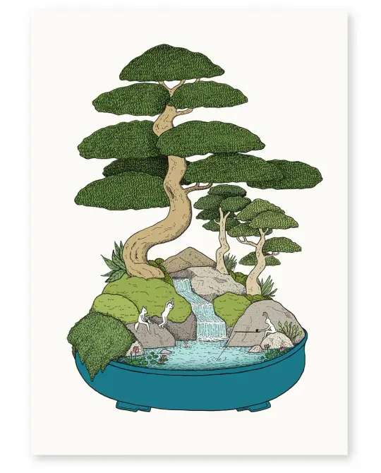'Lily Pond' Limited Edition Art Print