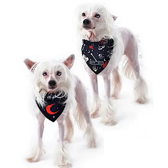 You Can’t Dig With Us Reversible Red Pet Bandana with Snap Closure