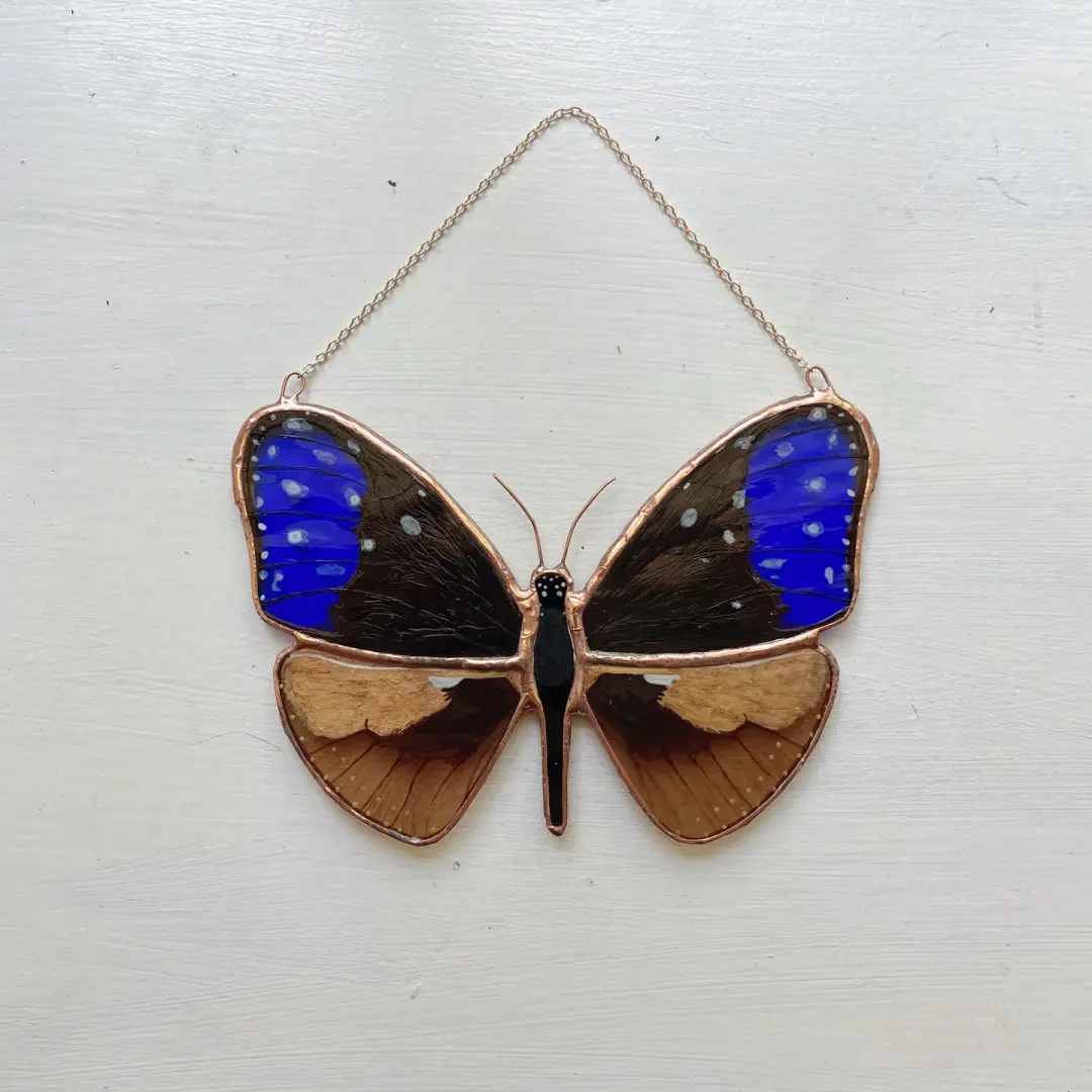 Blue Crow Butterfly