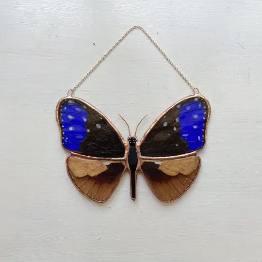 Blue Crow Butterfly