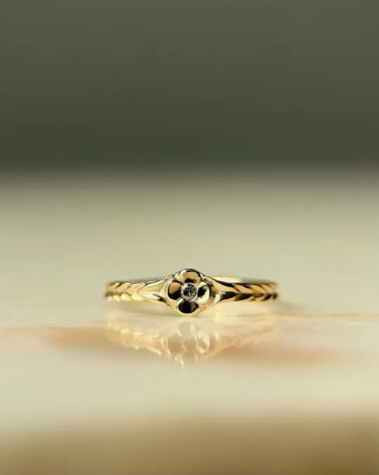 Posy // 14ky Gold + Salt & Pepper Diamond // 6