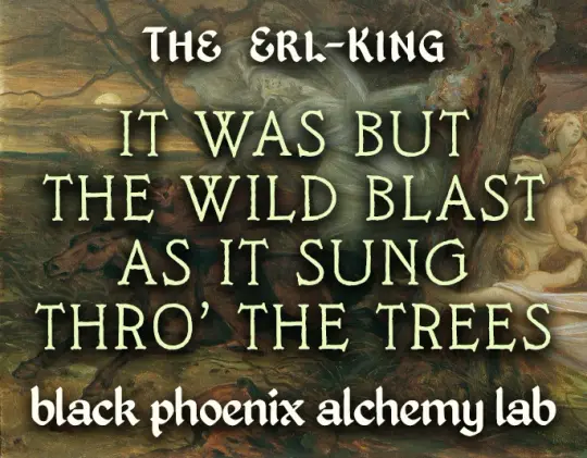 It Was But the Wild Blast As It Sung Thro’ the Trees Perfume Oil