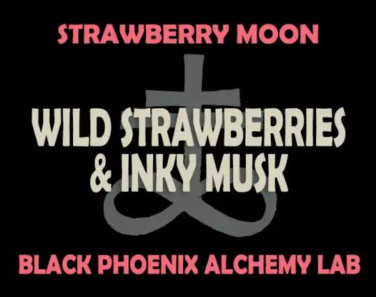 Strawberry Moon: Wild Strawberries and Inky Musk Perfume Oil