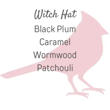 Witch Hat