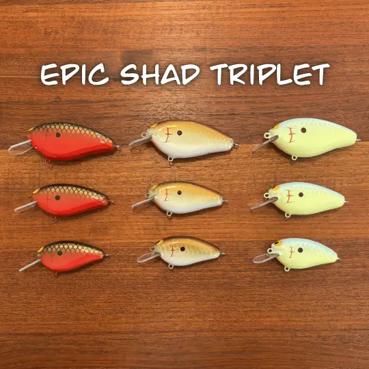 Epic Shad Family Set--New for 2026!