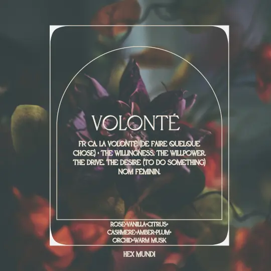 Volonte Hand & Body Wash