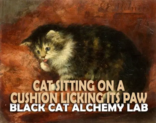 Cat Sitting on a Cushion Licking Its Paw Perfume Oil