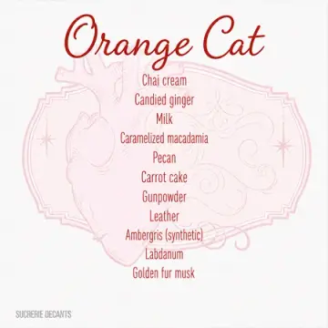 Orange Cat