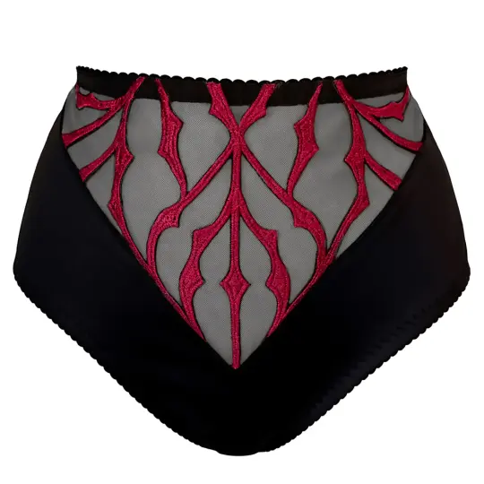 BURGUNDY DOGMA HIGH WAIST BRIEF