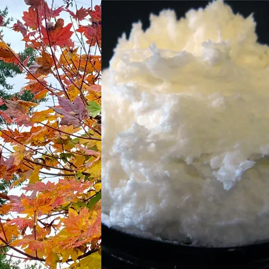 Fall Whipped Soaps