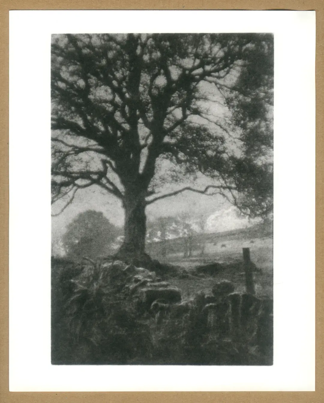 Looking towards Shay Lane from Digley.