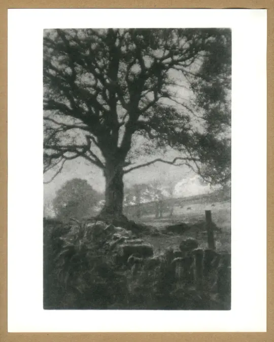 Looking towards Shay Lane from Digley.