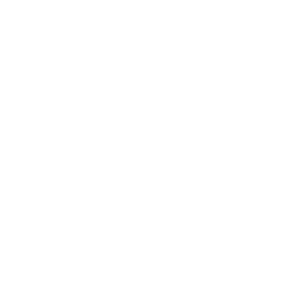 Seaforth! logo