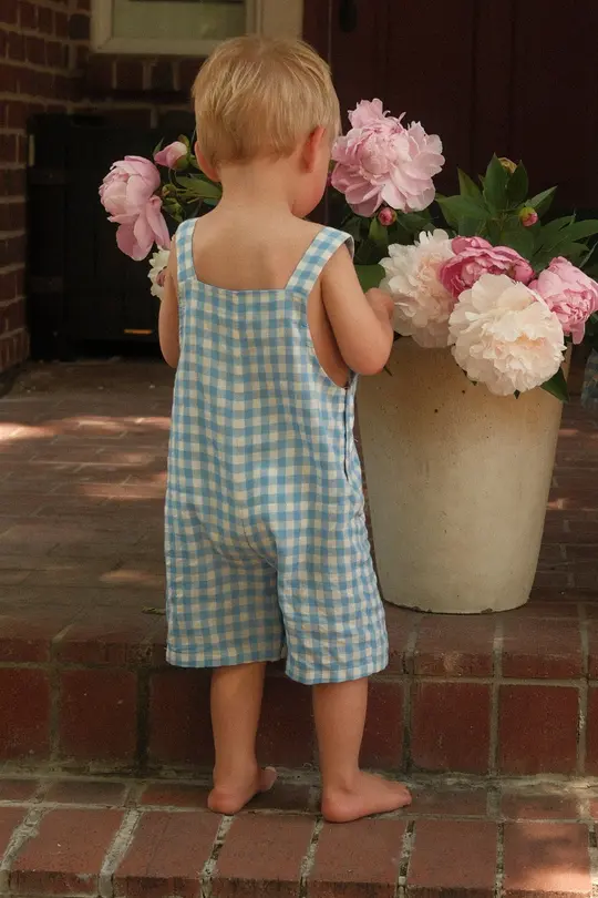 Baby Alex Overalls in Blue Gingham