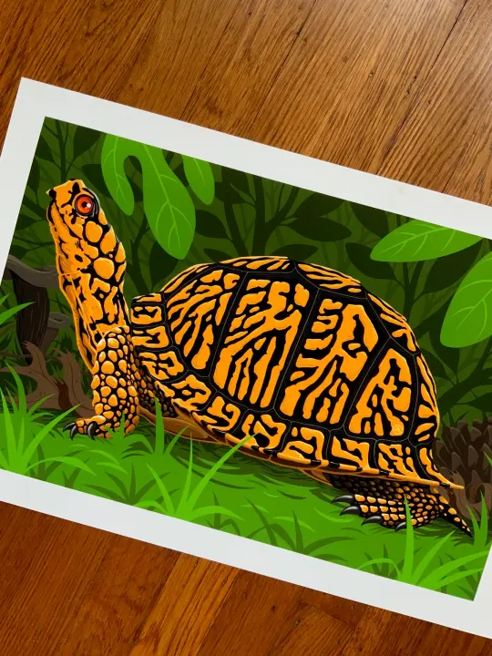 Box Turtle Scene Print
