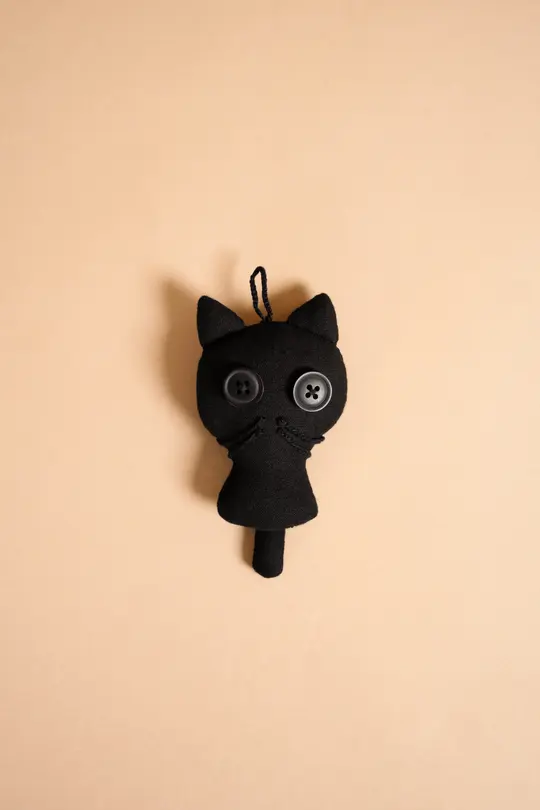 Koji the cat