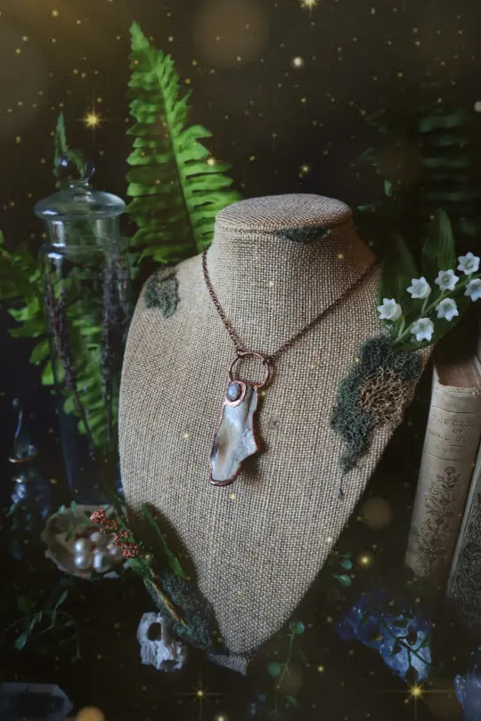 Abalone Shell Shard