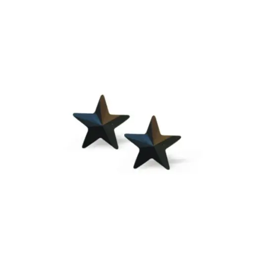 Black Star Stud Earrings