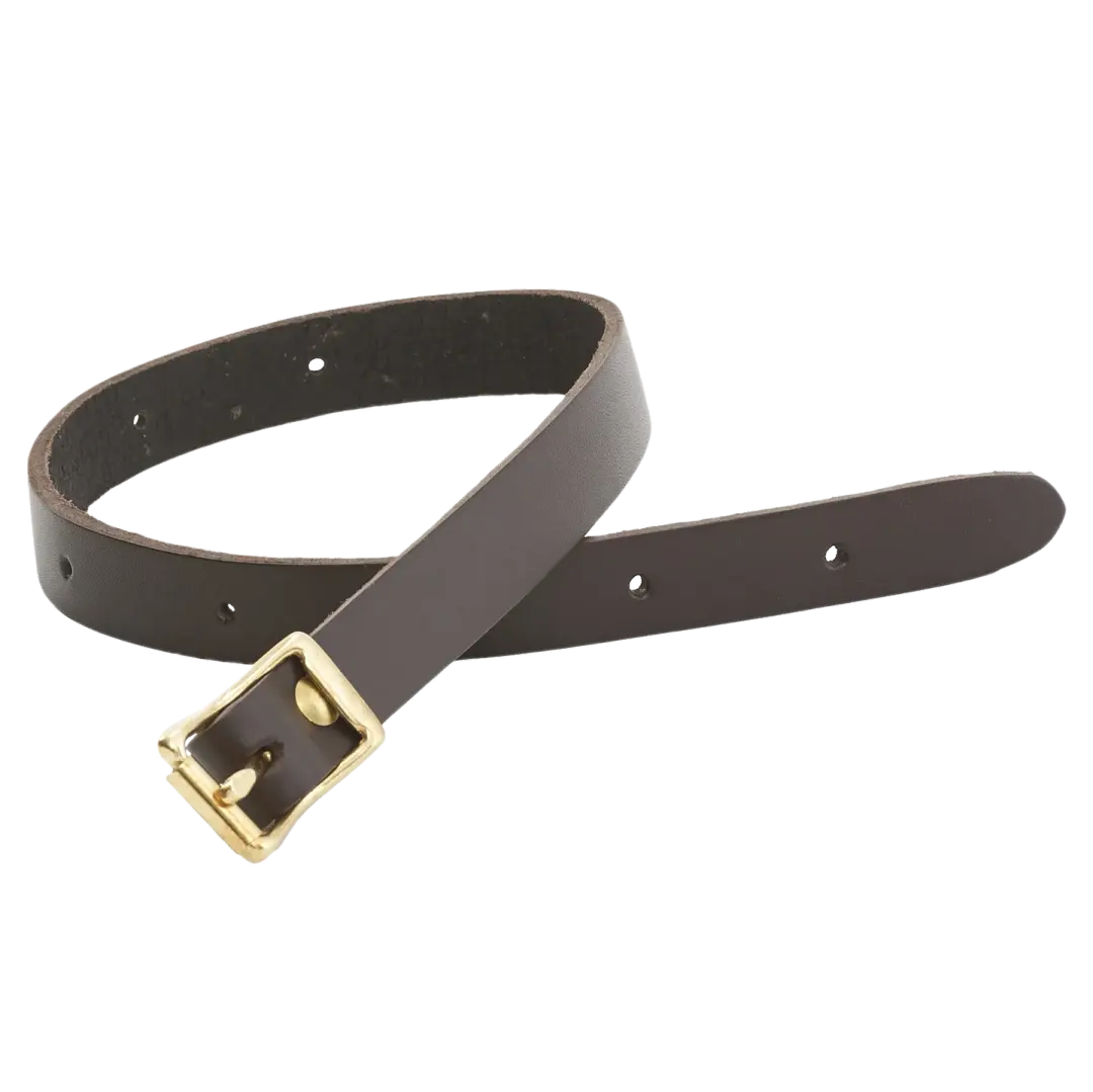 Bedroll Strap