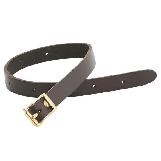 Bedroll Strap