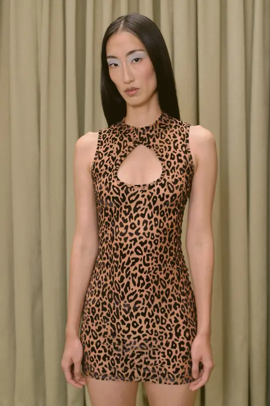 New Jersey Leopard Keyhole Mesh Mini Dress