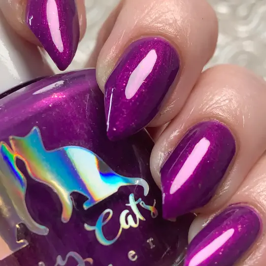 Sassy Cats Lacquer: "Now Just Wait a Meowment" *OVERSTOCK*