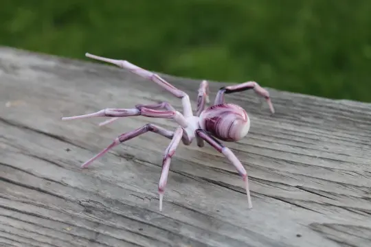 Handmade Murano Glass Spider Figurine In White And Purple, 2-Inch