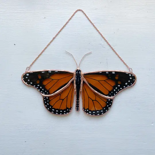 Monarch Butterfly no.6