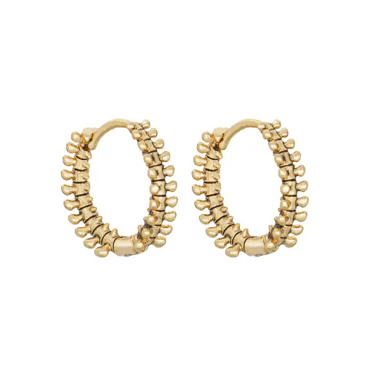 Vertebrae Hoops