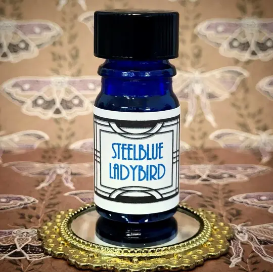 Steelblue Ladybird