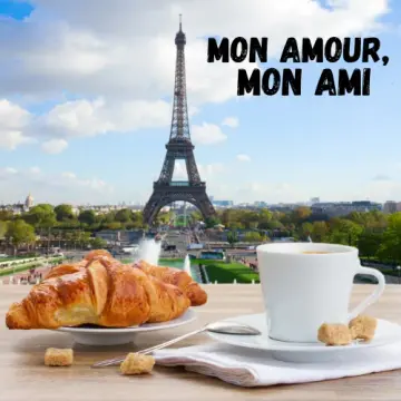 Mon Amour, Mon Ami