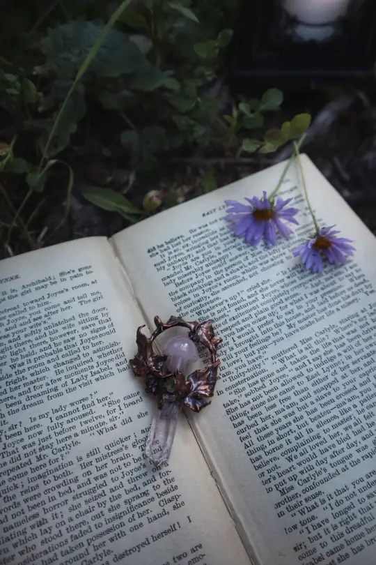 Midsummer Mushroom Magic