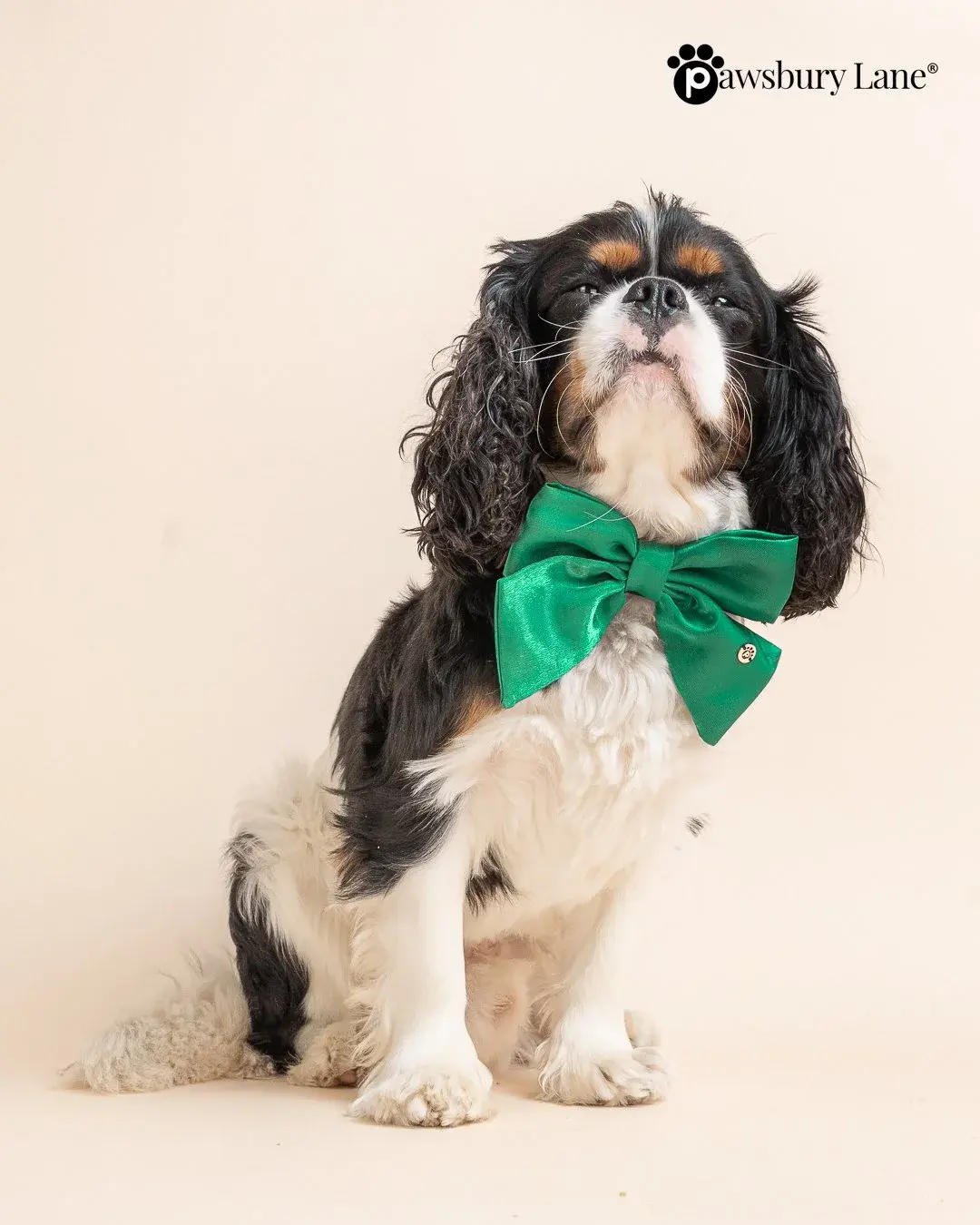 The Satin Collection - Dog Bow - Mistletoe Green