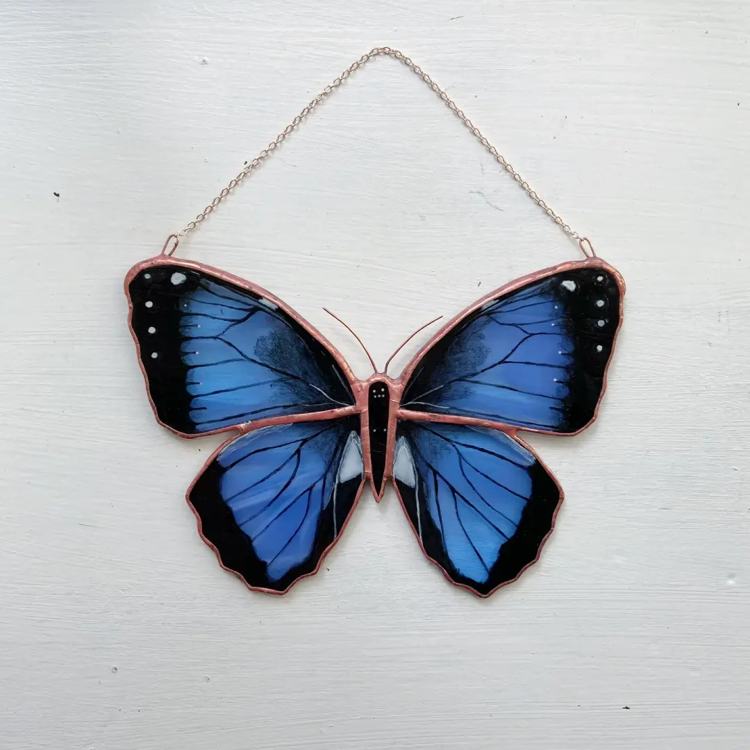 Common Morpho Butterfly