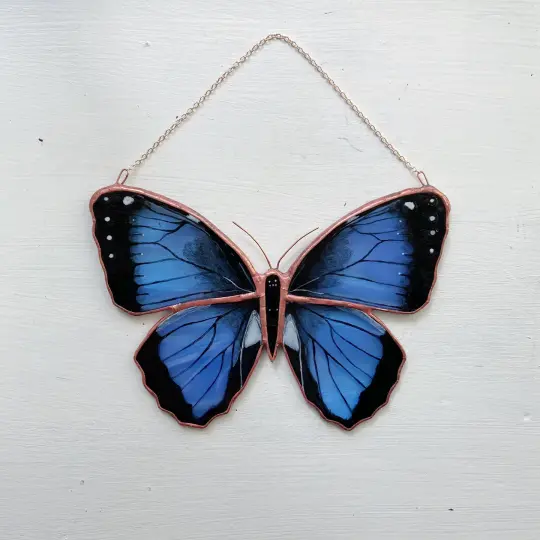 Common Morpho Butterfly
