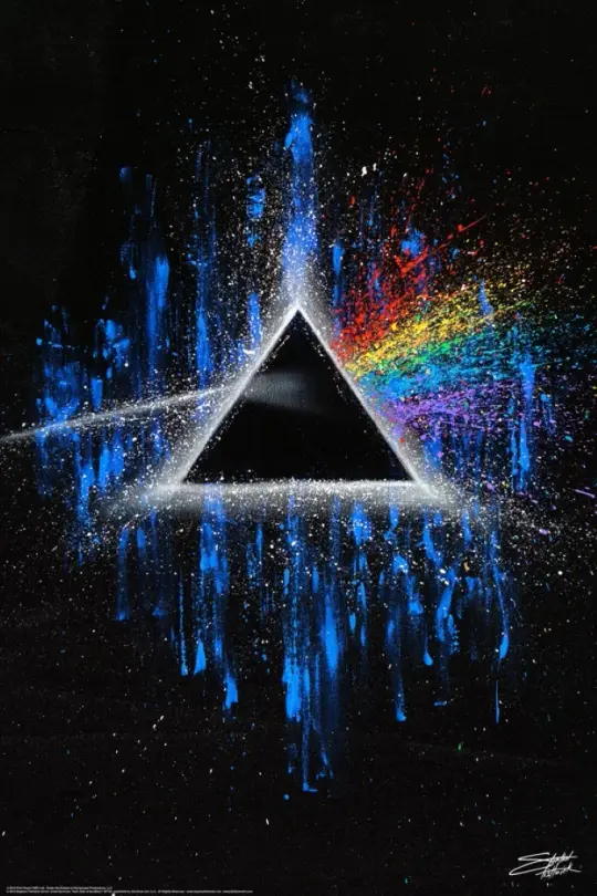 Pink Floyd Dark Side Of The Moon By Fishwick Poster #36