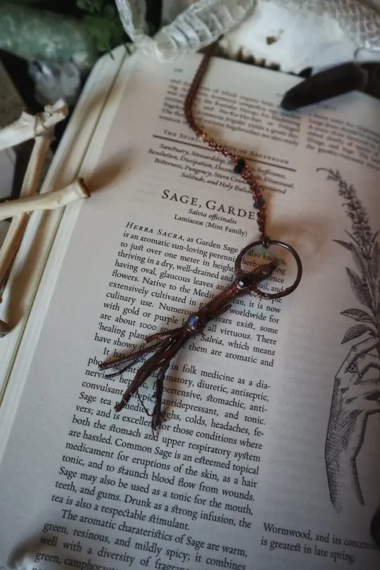 Witches Broom