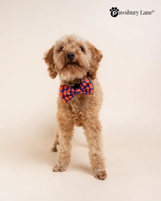 Game Day - Bow Tie