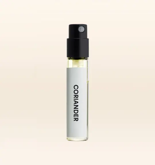 Coriander